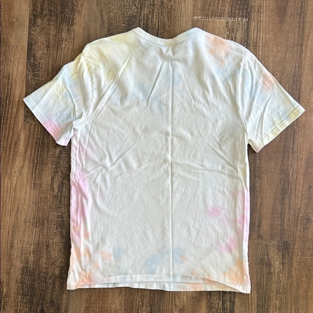 Champion Men's Pastel Tie-Dye Tee - Picture 2 of 3